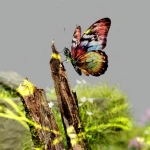 Цифровая экология и игровые технологии в городской среде