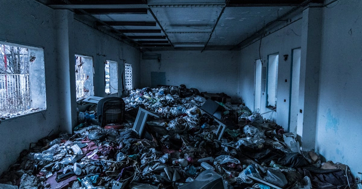 Экологическое влияние казино на городскую среду и окружающую природу