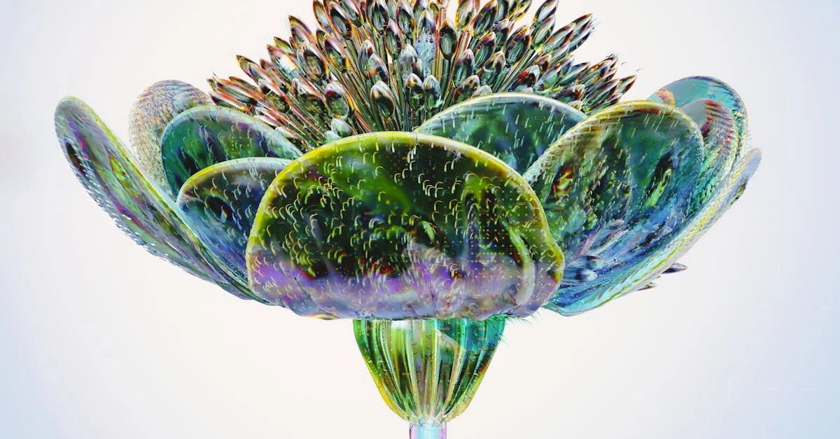 Цифровая экология и влияние онлайн-казино на городскую среду